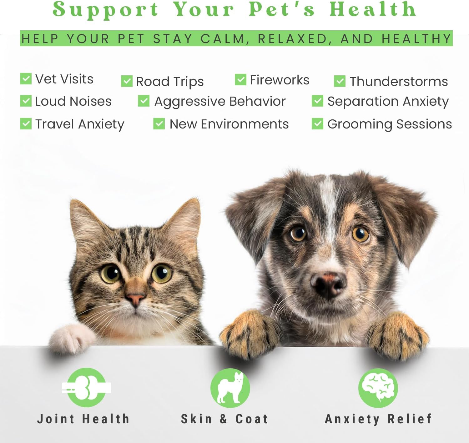 Hemp Oil for Dogs and Cats