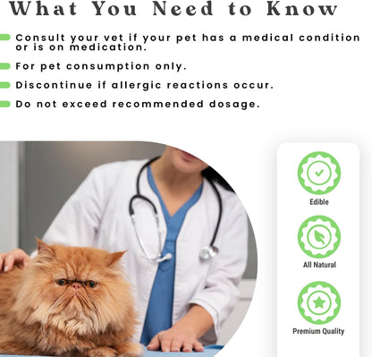 Hemp Oil for Dogs and Cats