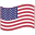 USA Flag